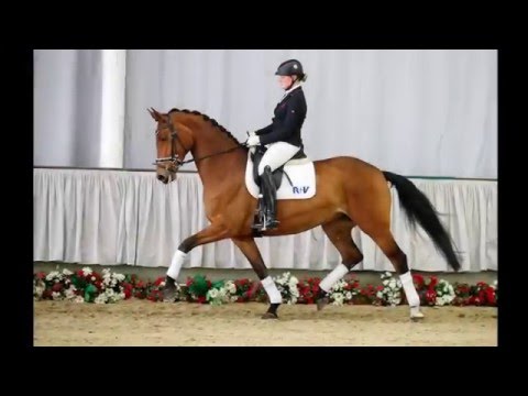 15 Rock Diamond  Stute v.  Rock Forever I - Real Diamond