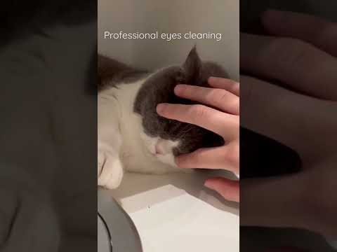 Eyes cleaning