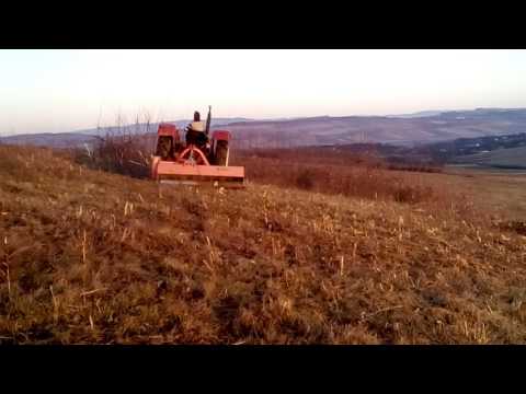 Curatat pasune2016 Motis salaj