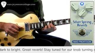 Video thumbnail for Mad Professor Silver Spring Reverb by Prymaxe