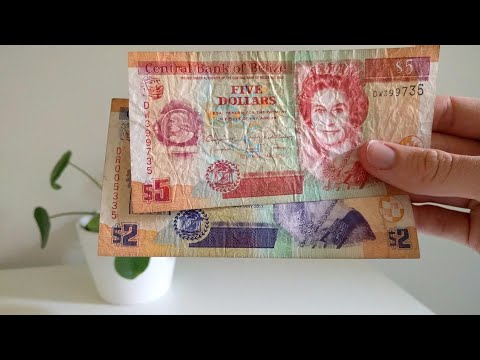 ASMR | Looking At Money Collection | Whisper