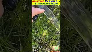 Amazing Example of streamline flow   #physics #streamline  #fluidmechanics #fluid  #fluidmechaics