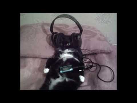 lovv66 + маленький ярче + doomee Type beat - "valentine's day" @kir1i