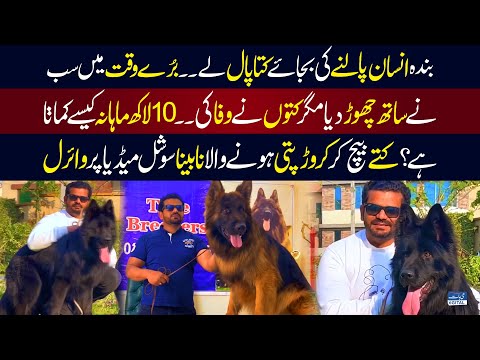 Insan Palne Ki Bjaye Kutta Pal Lo, 10 Lakh Monthly Income? Nabina Kutty Bech Kar Crore Pati Ban Gya