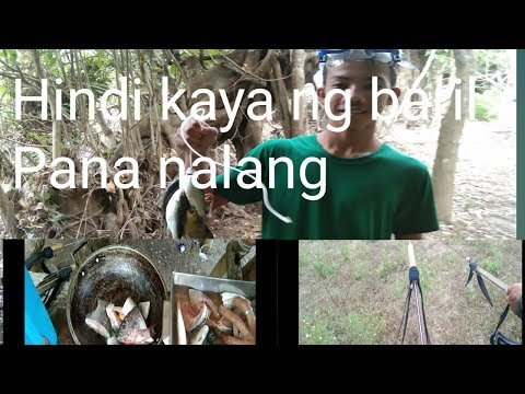 Spearfishing Adventure/Catch&cook ep#1