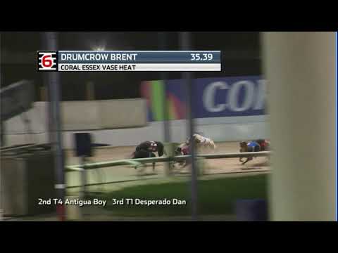 2021 CORAL ESSEX VASE - HEAT 1 - T6 DRUMCROW BRENT