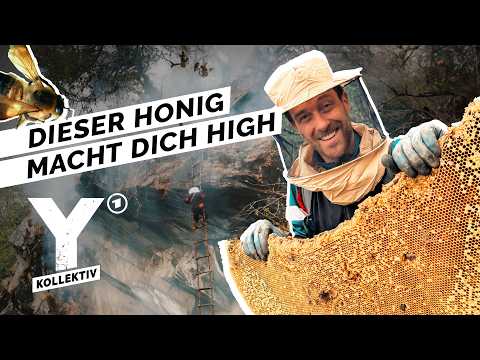 Ich teste Mad Honey – und erlebe, was Menschen in Nepal dafür riskieren | Y-Kollektiv