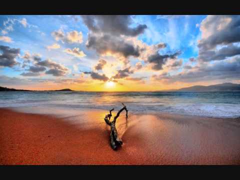 Dj Shah Ft. Aruna - Now Or Never (Album Mix)