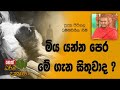 darma-dakshina-pitigala-dhammawinitha-himi-28-11-2018