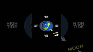 Tides explained. #earth #tides #science #cosmoknowledge