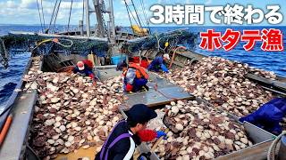【15トン】船を埋め尽くすホタテを3時間で!?｜北海道 猿払村｜