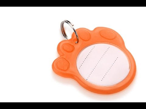 Лапка непотеряшка с контактами для моей собаки