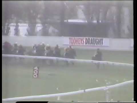 1988 Doncaster Hcp