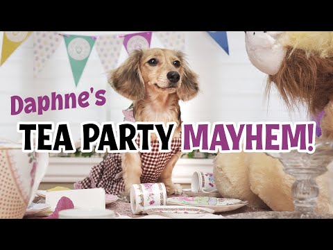 Ep 44: Daphne Hosts a CRAZY TEA PART (Things Get Messy!)