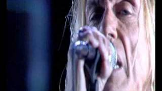 The Stooges - Concert privé - 07 - Free &amp; freaky.avi