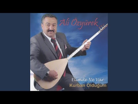 Erik Dalı Gevrektir