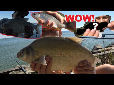 DUŻE LESZCZE, NIEZWYKŁA RYBA i INNE - epicka wyprawa na ZALEW WIŚLANY!