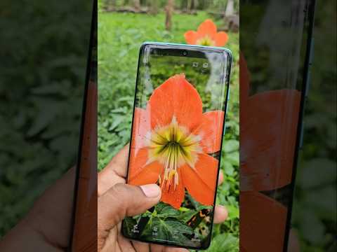 Tech Apajit and Apajit07