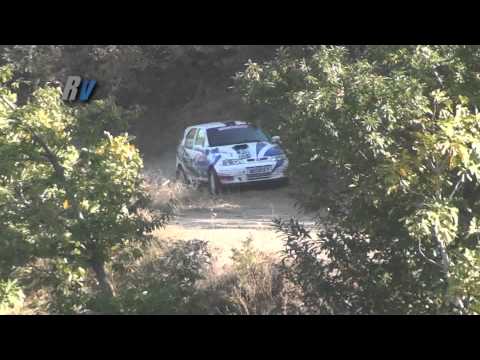 2012 Cumhuriyet Rallisi / Bora Çantepe - Soner Çevik / Fiat Palio Kitcar