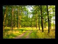 Forseti - Sei Nun Still 