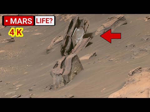 Mars' Perseverance Rover Sent Most Remarkable Footage of A River Delta! Search For Ancient Life! 4K