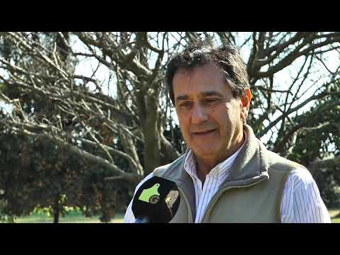 Cabaña El Señuelo previa Palermo 2019, Raúl Faggiani, seleccion de animales