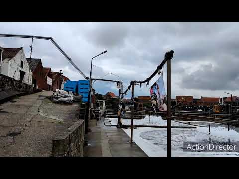 Yerseke oysters farm in the Netherlands, May 2021.