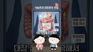 의사들이 대장암 환자에게 절대 안 먹이는 음식 #건강정보 #충격
