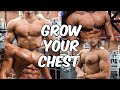 How To Grow A HUGE Chest | Day In The Life | My Supplement Stack