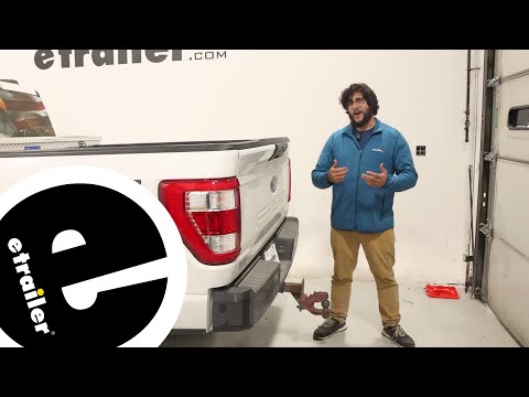 A Closer Look at the DeeZee Tailgate Assist Custom Tailgate Lowering System on a 2021 Ford F-150