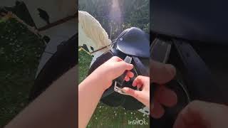 Grwm for a ride in the nature part 1 #horse #equestrianjourney #hobbyhorseedit #grwm#holzpferd#pferd