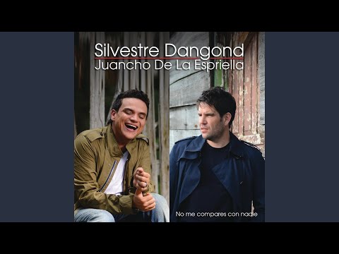 Estupido (Álbum Versión)