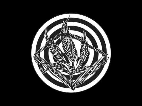 Vandal - Don't Forget Your Roots