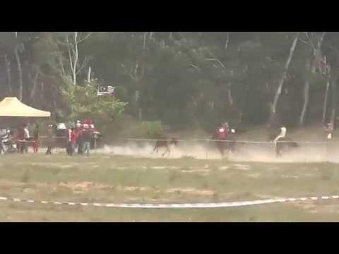 Akhir Kuda PADI A - 19 Sept 2015 @Trek Kuda Bukit Mas, Tanah Merah