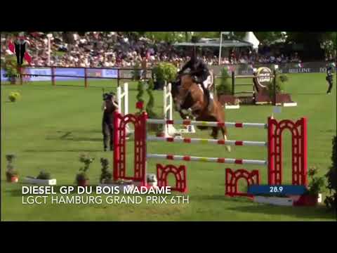 DIESEL GP DU BOIS MADAME GCT GP hamburg