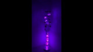 Beautiful LED Fancy Lamp O-5