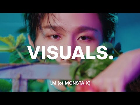 SOULBYSEL, I.M (of MONSTA X) - nvrmnd | VISUALS.