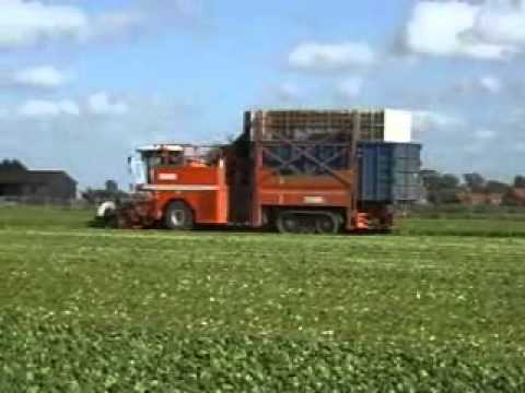 Vandewalle: Spinazie maaien.