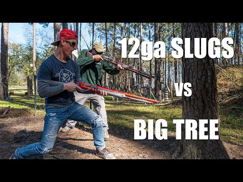 Shotgun Slugs vs BIG Tree 🌲with Dustin Ellermann | Gould Brothers
