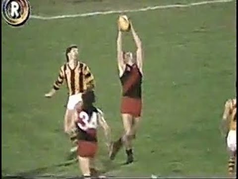 1981 Escort Cup QF   Essendon v Hawthorn