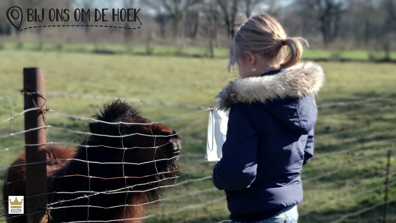 Bij ons om de hoek familie Keijzer | Bosshaltes Oss