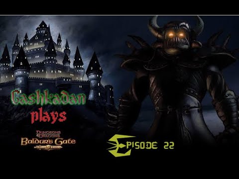 Baldur's Gate - Episode 22 - Fending Off Weaklings and Meeting a Mad Hermit