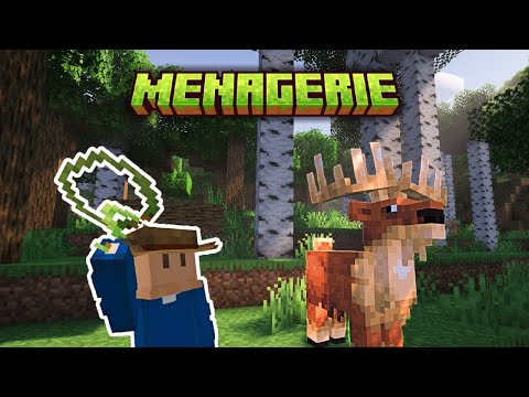 The Start of my Zoo Adventure! | Menagerie