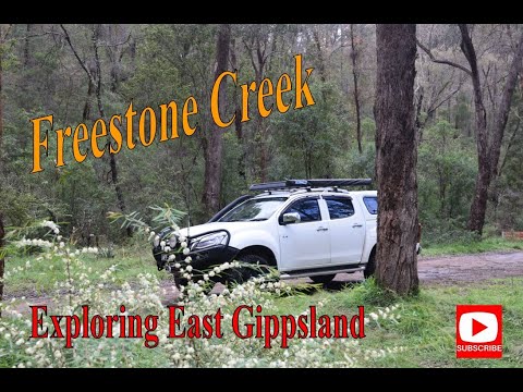 Free camping in Gippsland, Victoria- Freestone Creek- Exploring East Gippsland