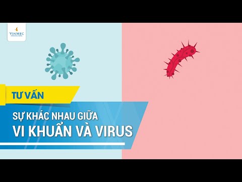 , title : 'Sự khác nhau giữa vi khuẩn và virus'