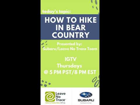 How To Hike in Bear Country
