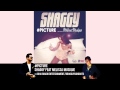 Picture - Shaggy feat Melissa Musique (Official Audio)