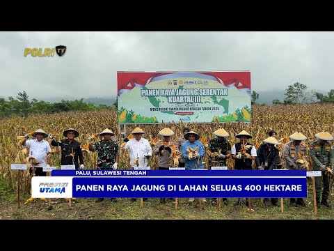 POLDA SULTENG PANEN 1.601 TON JAGUNG KUARTAL III TAHUN 2025 DUKUNG KETAHANAN PANGAN