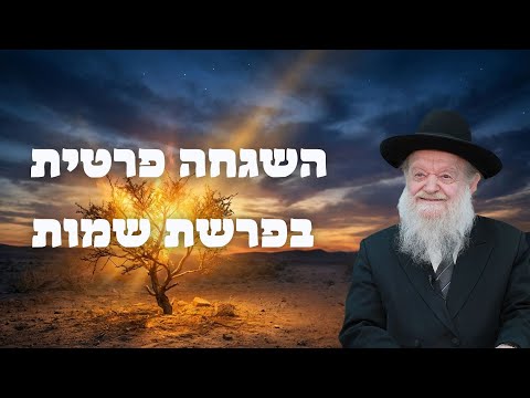 Private Supervision on the Book of Exodus | Rabbi Yosef Tz. Ben Porat - 5786