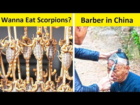 Only In China 🇨🇳 🦂 Video